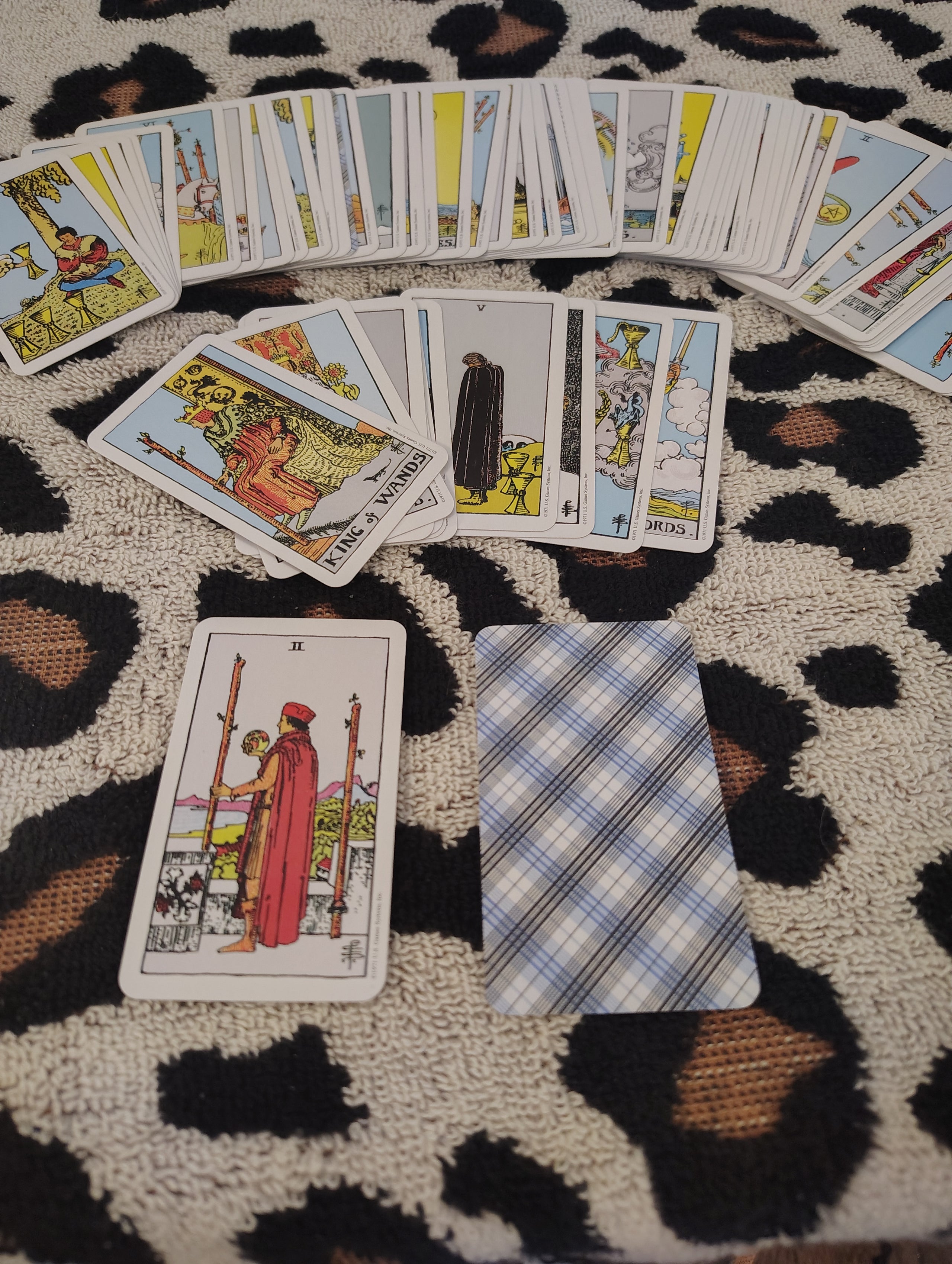 WALLET SIZE TAROT CARD