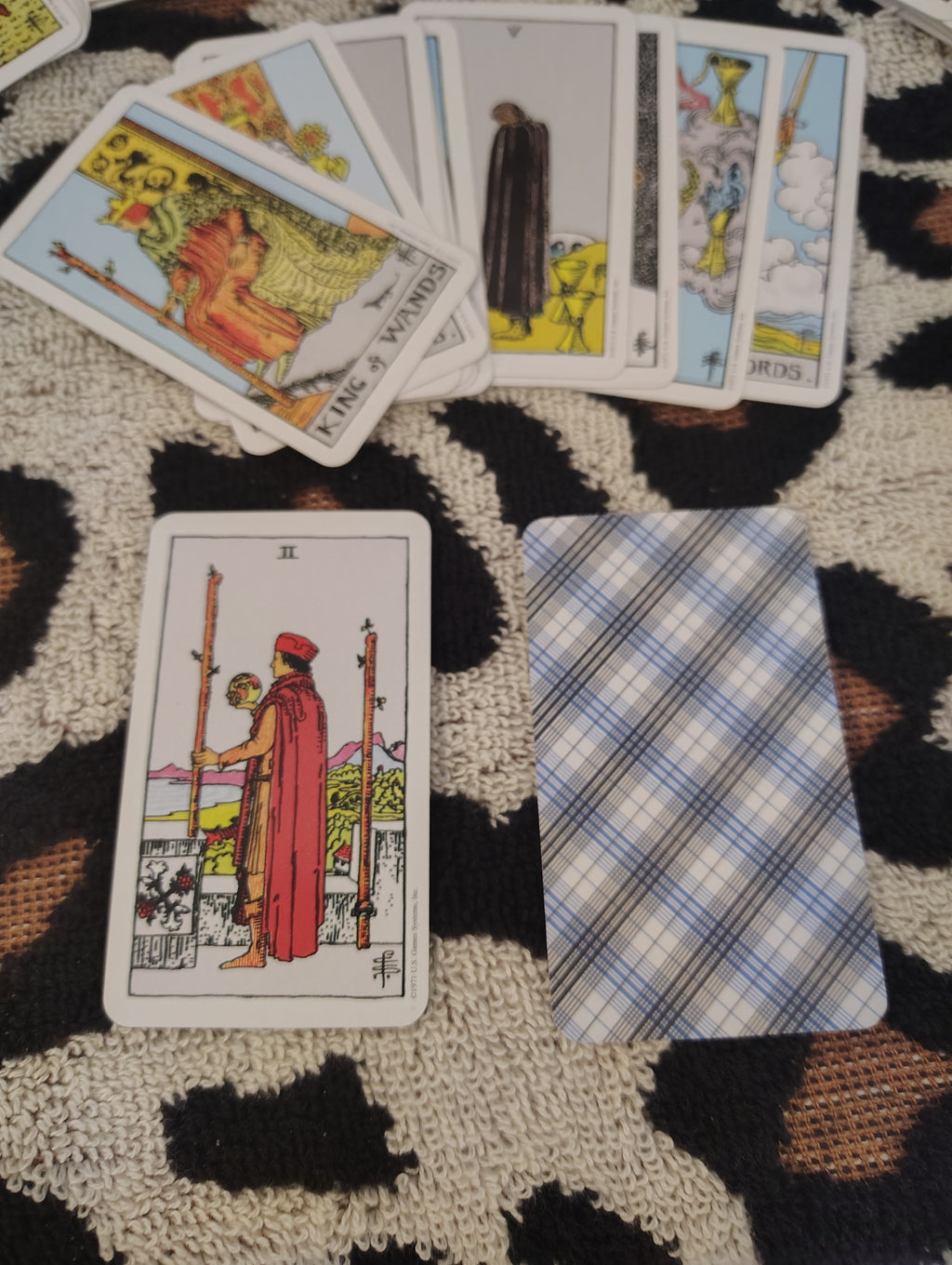 WALLET SIZE TAROT CARD
